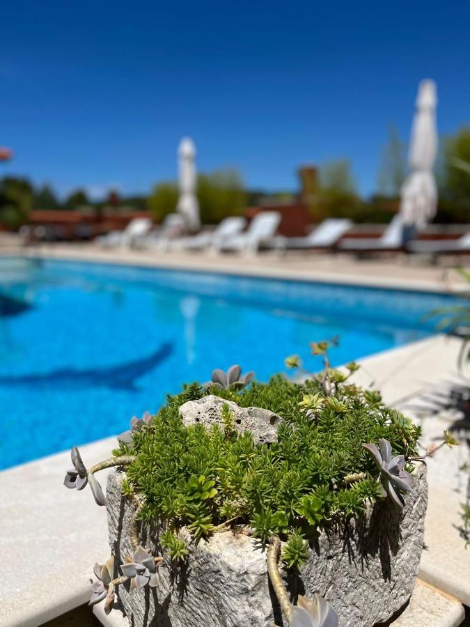 Apartment With Swimming Pool イェルサ エクステリア 写真